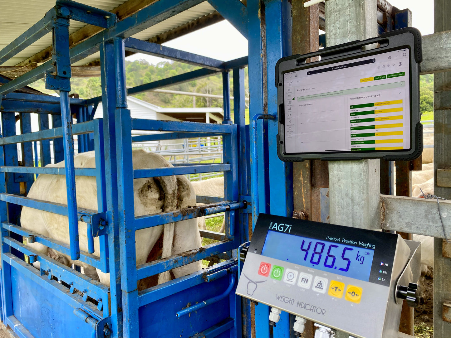 Heavy Duty Load Bars