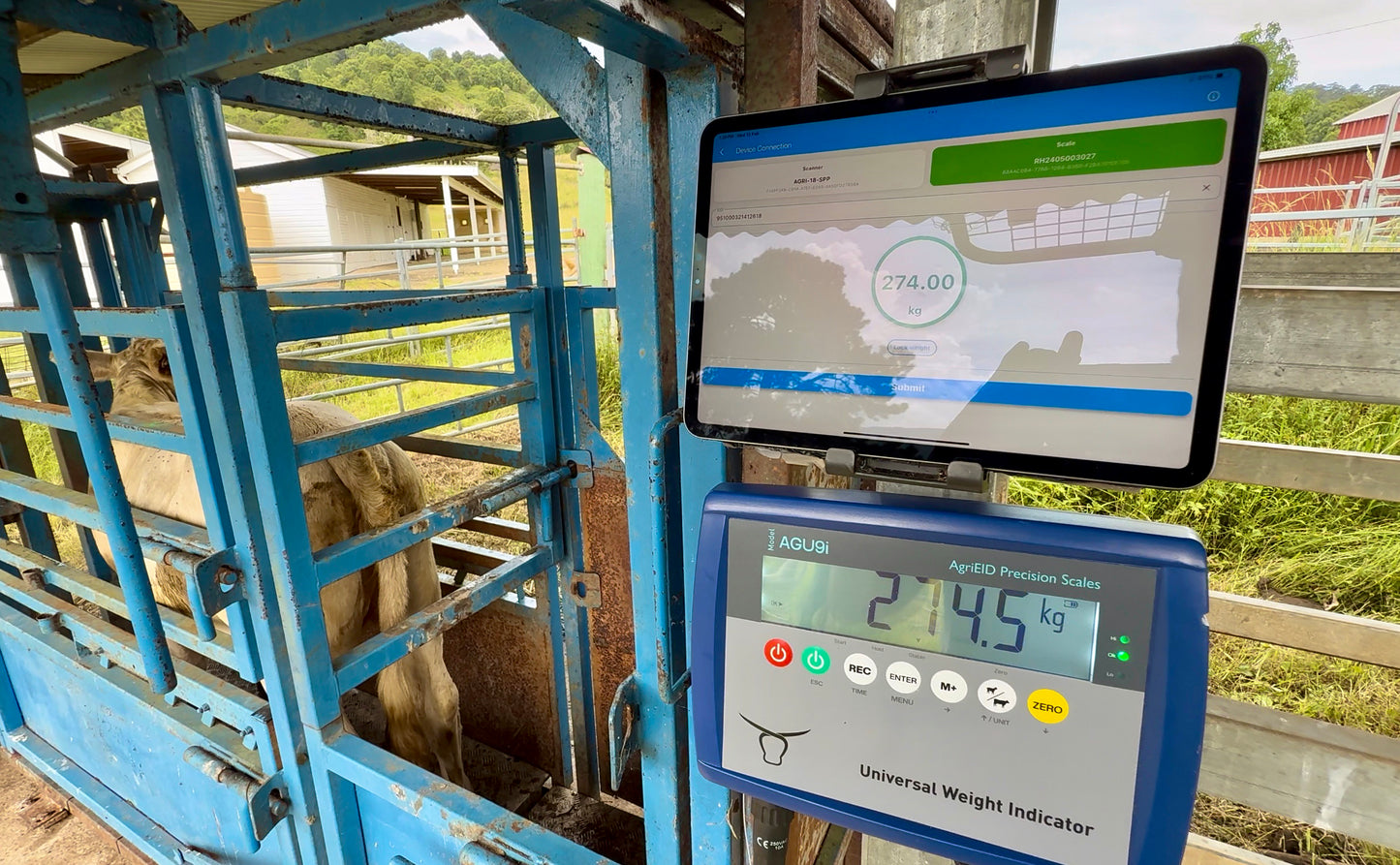 BT ProGuard Load Bars