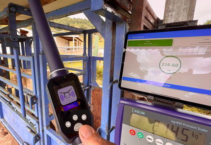 BT ProGuard Load Bars